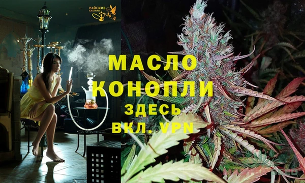 индика Белоозёрский